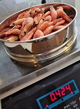 Морская и речная глыба