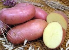 Импорт картофеля в Россию бьет рекорды 