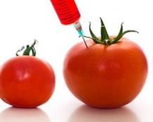 На Урале запретят производство и продажу продуктов с ГМО