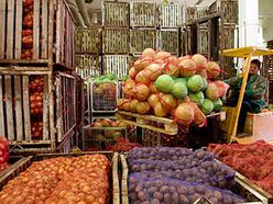 Аграрии резко увеличили выпуск продукции в 2011 году 