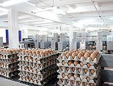Апелляция наказала «Копейку» за дискриминацию поставщика яиц
