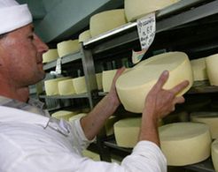 Роспотребнадзор проинспектирует украинские сырзаводы