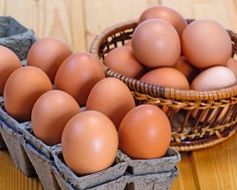 Производство куриных яиц выросло на 5% за 2011 год  