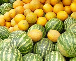 В Московском регионе продают опасные для здоровья арбузы и дыни 