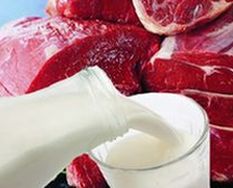 Торговцы Волжского не отказались от мяса