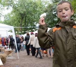 В Подмосковье закроют сотни стихийных ярмарок