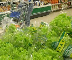 Минсельхоз МО: 70% продуктов в магазинах должны производиться в регионе