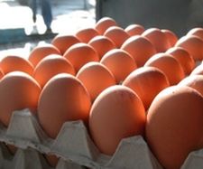На бирже начнут торговать фьючерсами на куриные яйца