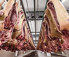 Производители мяса просят защиты от импортной свинины