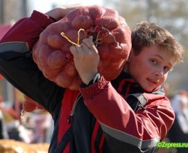 В Приморском крае крупный бизнес лидирует в оптовой торговле