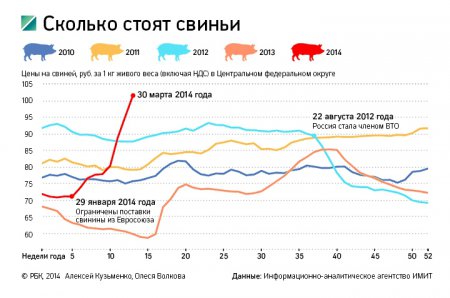Оптовая стоимость живых свиней с начала года выросла более чем на 40%
