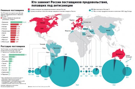 Чили и Перу получили рекордное количество разрешений на импорт в Россию