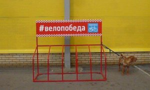 ТГ «Победа»: Велошоппинг